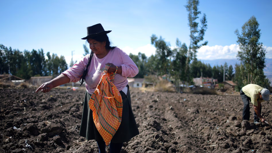 FAO pide acelerar la transformación agroalimentaria en Iberoamérica